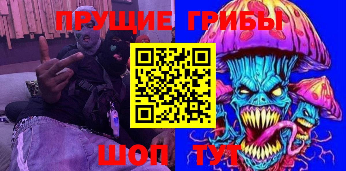 Псилоцибиновые грибы Psilocybe Екатеринбург