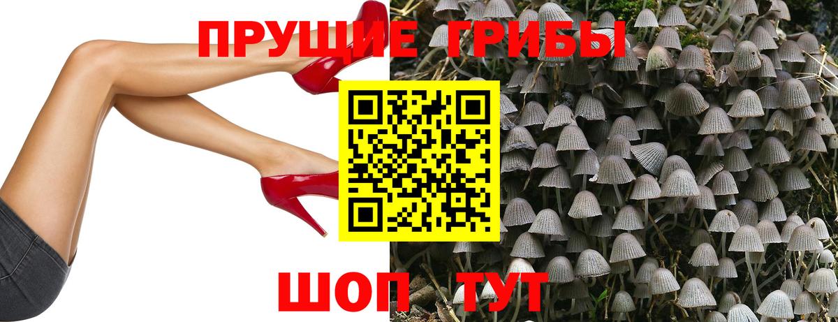 наркошоп  Галлюциногенные грибы Psilocybe  Вход с VPN  Екатеринбург 